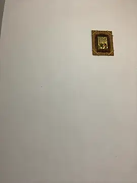 afrodizyak online show from November 14, 2025, 10:30 am