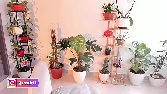 rossth1 online show from November 11, 2025, 8:36 pm