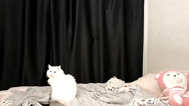 vse horosho online show from September 24, 2025, 6:03 pm