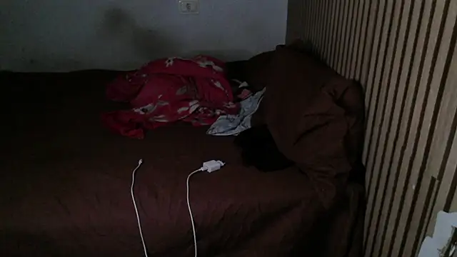 Dedel199 online show from November 29, 2025, 1:33 pm