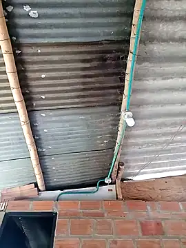 Janle 19c online show from December 6, 2024, 5:06 pm