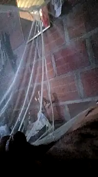 Janle 19c online show from January 7, 2025, 7:06 pm