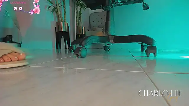 charlotte  grey online show from February 24, 2026, 8:21 pm