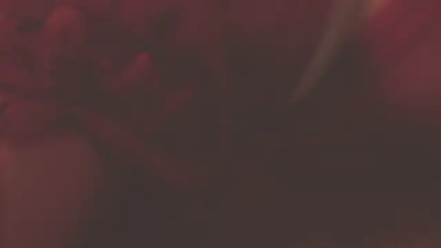 Snapshot of oxiris_1 chatting on January 16, 2025, 1:48 am oxiris 1 online show from January 16, 2025, 1:48 am