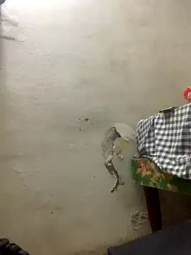 funpharoh1 online show from November 10, 2025, 7:41 pm