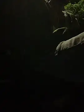 funpharoh1 online show from November 2, 2025, 6:51 am