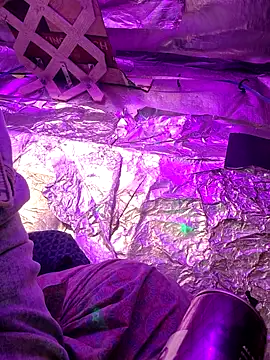 Snapshot of thecoolarrow chatting on September 10, 2025, 5:06 am thecoolarrow online show from September 10, 2025, 5:06 am