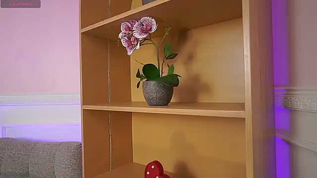 Anybuny online show from November 7, 2025, 11:59 am