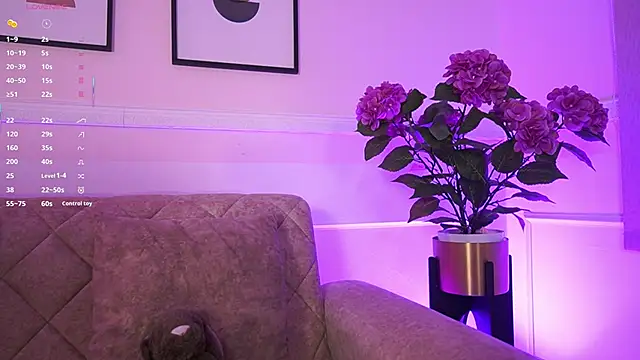 Snapshot of Anybuny chatting on February 4, 2026, 11:38 am Anybuny online show from February 4, 2026, 11:38 am