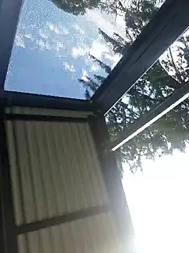 Off the Lesh online show from March 31, 2026, 4:25 am