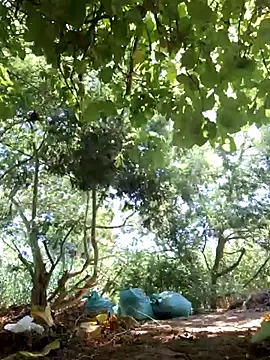 calientoboy online show from February 27, 2025, 6:20 pm