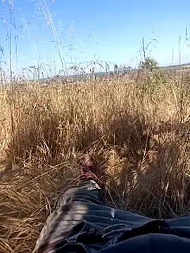 calientoboy online show from December 6, 2024, 12:22 pm