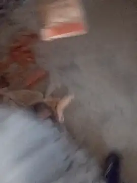 Kurtsikicixh online show from November 5, 2025, 2:53 pm