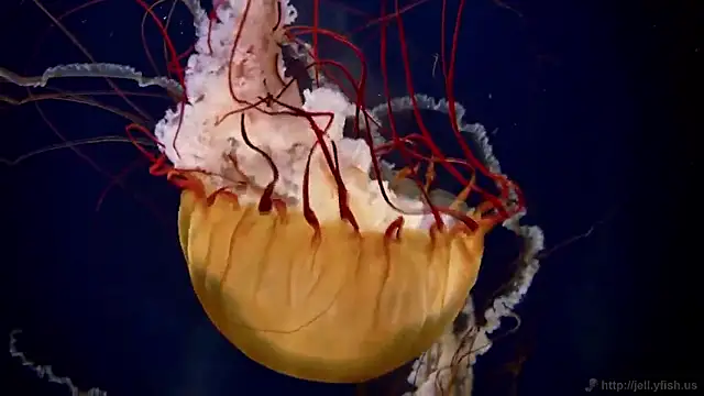 Snapshot of streamy_test15 chatting on March 26, 2026, 11:19 am streamy test15 online show from March 26, 2026, 11:19 am