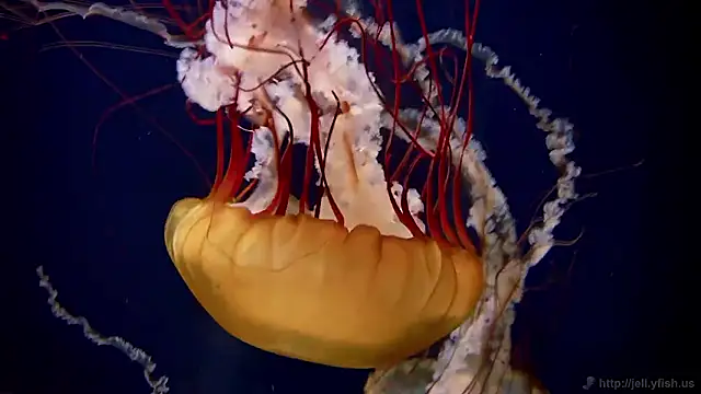 Snapshot of streamy_test15 chatting on March 2, 2026, 7:48 am streamy test15 online show from March 2, 2026, 7:48 am