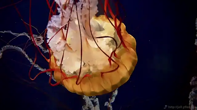 Snapshot of streamy_test15 chatting on March 11, 2026, 12:32 pm streamy test15 online show from March 11, 2026, 12:32 pm