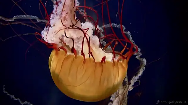 Snapshot of streamy_test15 chatting on February 26, 2026, 1:33 pm streamy test15 online show from February 26, 2026, 1:33 pm