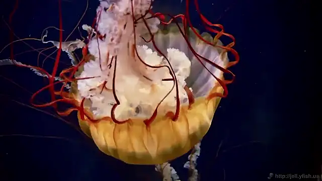 Snapshot of streamy_test15 chatting on March 23, 2026, 10:15 am streamy test15 online show from March 23, 2026, 10:15 am