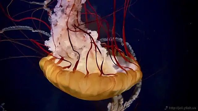 Snapshot of streamy_test15 chatting on February 5, 2026, 10:22 am streamy test15 online show from February 5, 2026, 10:22 am