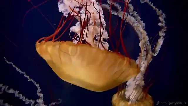 Snapshot of streamy_test15 chatting on March 18, 2026, 1:13 pm streamy test15 online show from March 18, 2026, 1:13 pm