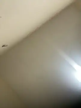 Malandralle online show from February 21, 2026, 12:01 am