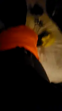 007Giovani online show from December 23, 2025, 1:27 am