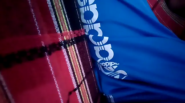 PIKAdePAU27 online show from January 20, 2025, 11:24 am