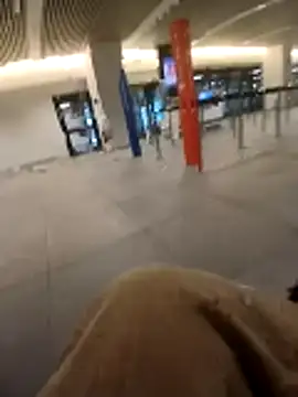 Denisilboss online show from February 24, 2026, 11:11 am