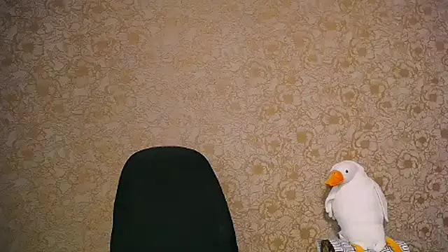  your fantasy girl online show from February 27, 2025, 11:28 am