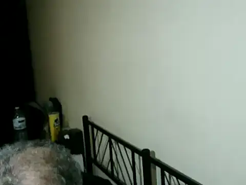 Snapshot of 100Tauros chatting on February 15, 2026, 12:44 am 100Tauros online show from February 15, 2026, 12:44 am