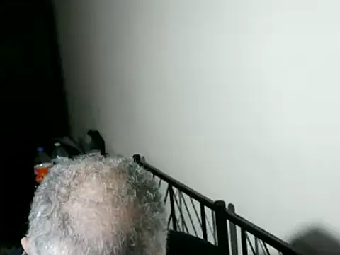 Snapshot of 100Tauros chatting on February 11, 2026, 10:53 pm 100Tauros online show from February 11, 2026, 10:53 pm