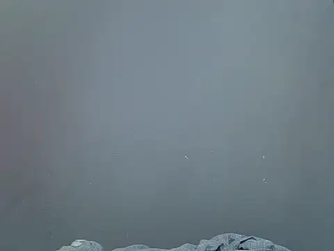 Hot Caro online show from December 26, 2024, 6:12 pm