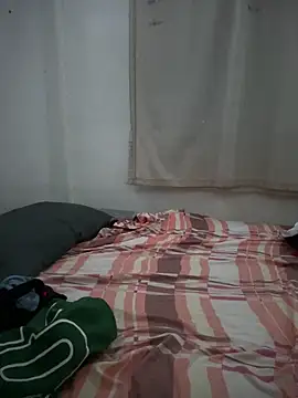 culitotragon24 online show from February 12, 2026, 4:23 am