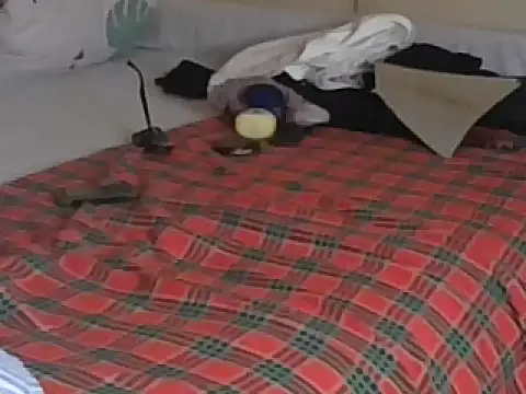 Bootiq online show from December 19, 2025, 8:22 pm