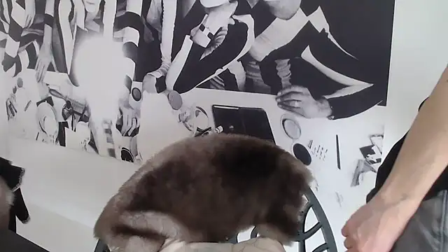 Snapshot of godinflower chatting on February 21, 2026, 2:19 pm godinflower online show from February 21, 2026, 2:19 pm