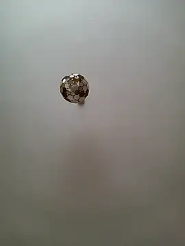 JulianJ50 online show from November 12, 2025, 2:32 pm