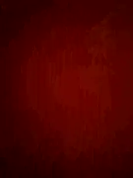 phnz online show from February 11, 2026, 1:00 pm