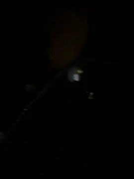 Asia-Melody online show from March 2, 2025, 12:25 pm