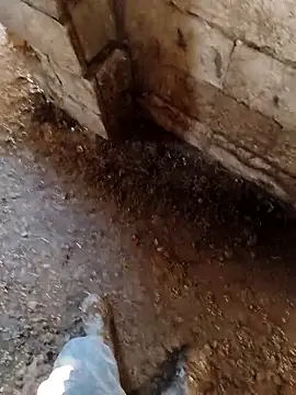 murokkk31 online show from January 14, 2026, 7:12 am