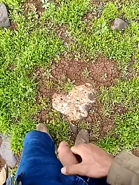 murokkk31 online show from April 1, 2026, 1:52 pm