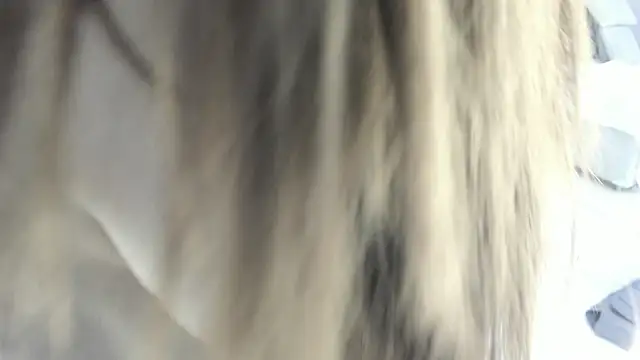 celestica rose online show from February 2, 2026, 10:31 pm