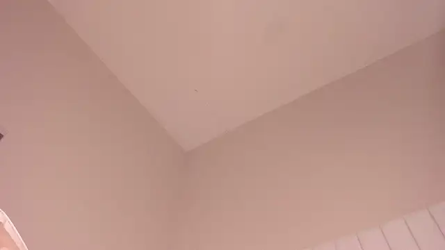 julieta flower online show from March 12, 2025, 7:14 pm