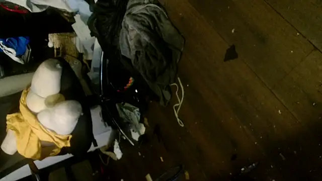 Gigadickman online show from January 6, 2025, 5:19 am