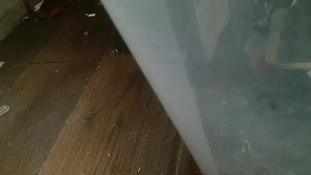 Gigadickman online show from February 27, 2025, 4:35 am