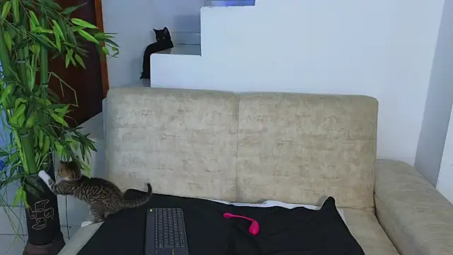 Lorenne Miller online show from October 21, 2025, 3:39 am