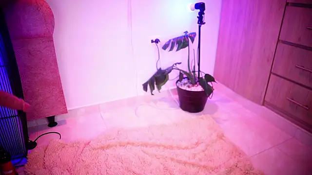 Mikubani18 online show from November 8, 2025, 3:43 am