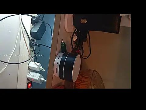 gordinhocachondo online show from November 26, 2025, 3:56 pm