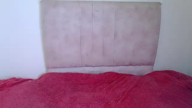 gatitaa777 online show from November 25, 2025, 12:22 am