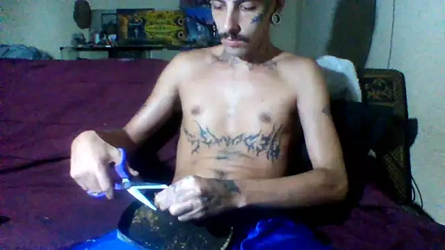 Snapshot of sellvageria chatting on February 22, 2026, 11:56 am sellvageria online show from February 22, 2026, 11:56 am