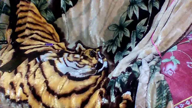 Snapshot of sellvageria chatting on October 12, 2025, 2:57 am sellvageria online show from October 12, 2025, 2:57 am